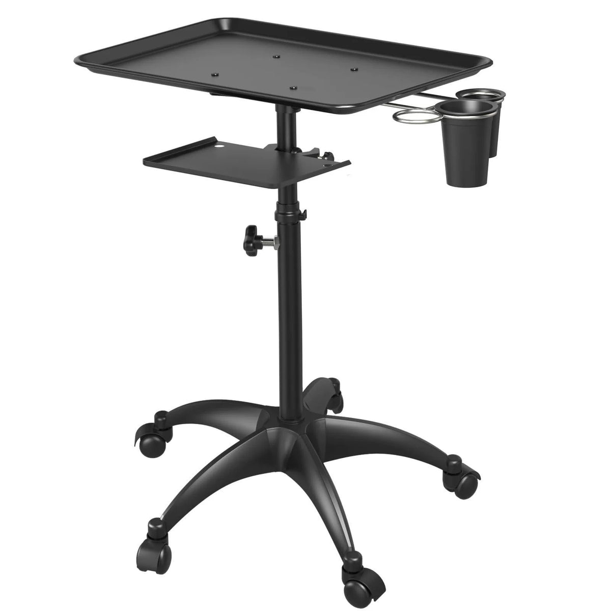 Adjustable Salon Tray Cart with Storage